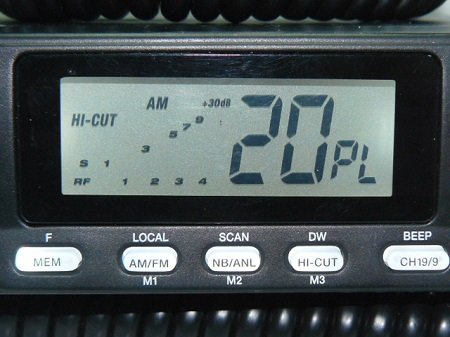 Johnson II albinos.jpg